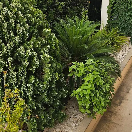 Apartman Sea Pearls Supetar